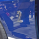 Illustration for article titled The New Shelby GT500 Convertible Wants To Eat You Alive